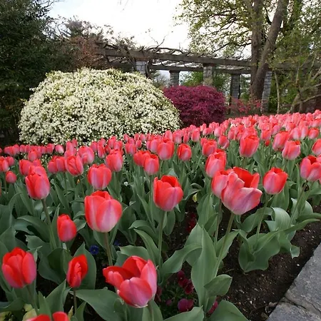 Casa Canetta - Mini In Centro A Verbania