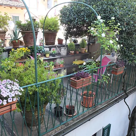 Casa Canetta - Mini In Centro A Verbania イントラ