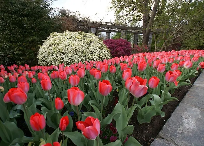 Casa Canetta - Mini In Centro A Verbania